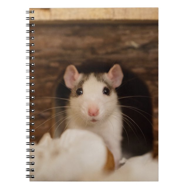 Cute Rat Notebook (Front)