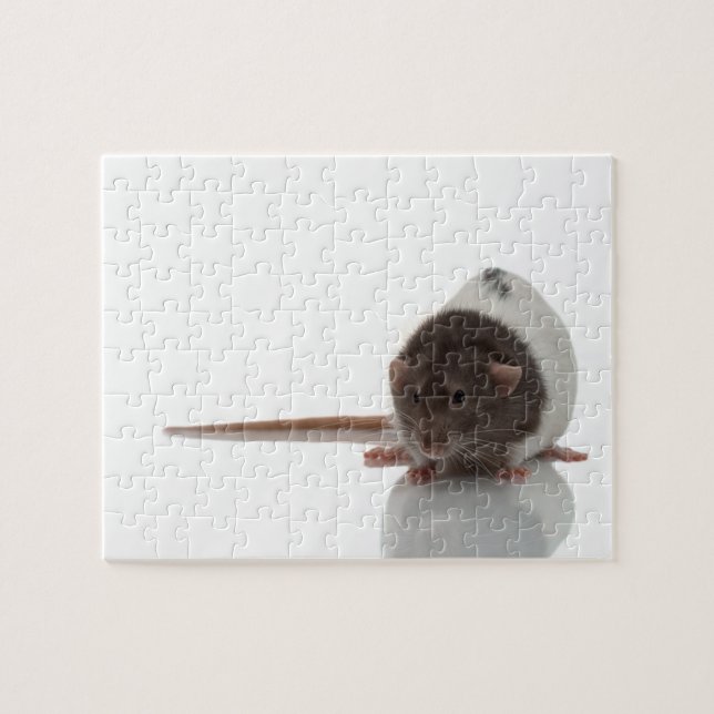 Cute Rat on white Jigsaw Puzzle (Horizontal)