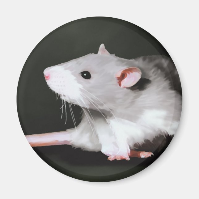 Cute Rat painting Magnet (Front)