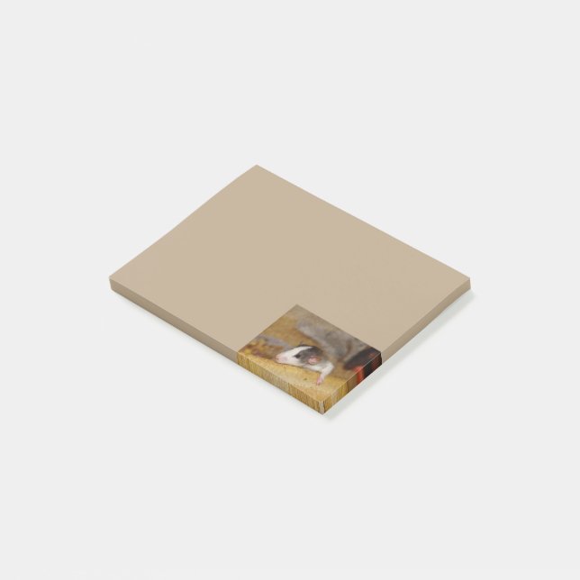 Cute Rat Post-it Notes (Angled)