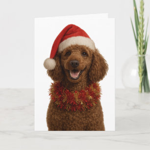 Cute red / brown Poodle Christmas card
