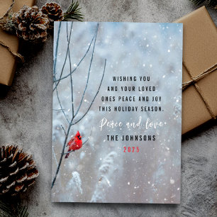 Cute red cardinal and snow Christmas Holiday Card