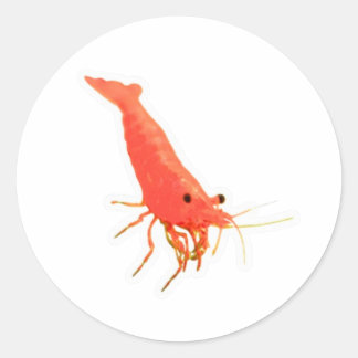 Cute Red Cherry Shrimp Sticker, Vivid Aquarium Aqu Classic Round Sticker