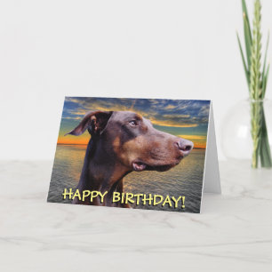 Cute red doberman birthday card