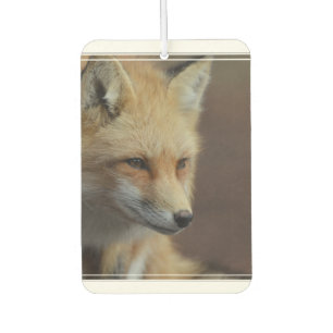 Cute Red Fox Car Air Freshener