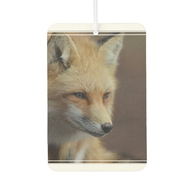 Cute Red Fox Car Air Freshener (Front)
