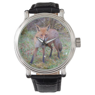 Cute Red Fox Forest Wildlife Character Nature Art Watch