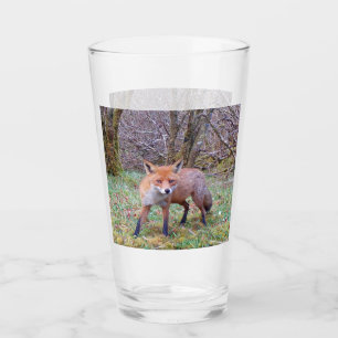 Cute Red Fox Glass