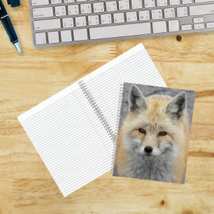 Cute Red Fox Photo Notebook