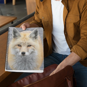 Cute Red Fox Photo Notebook