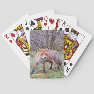 Cute Red Fox Playing Cards