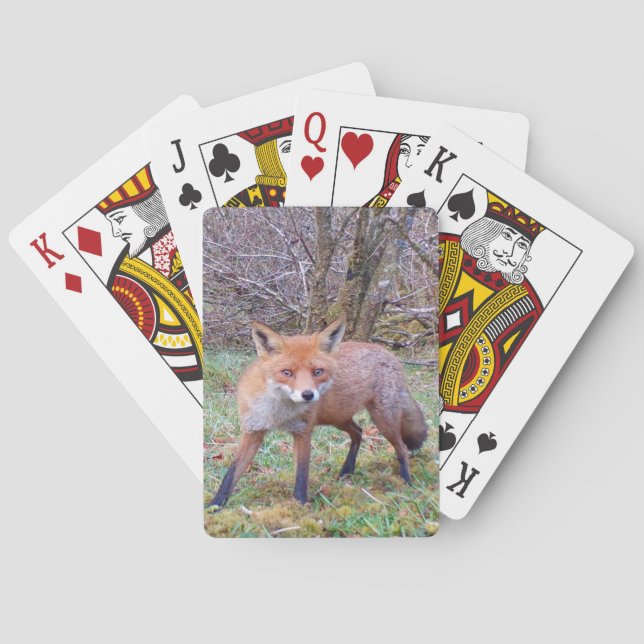 Cute Red Fox  Playing Cards (Back)