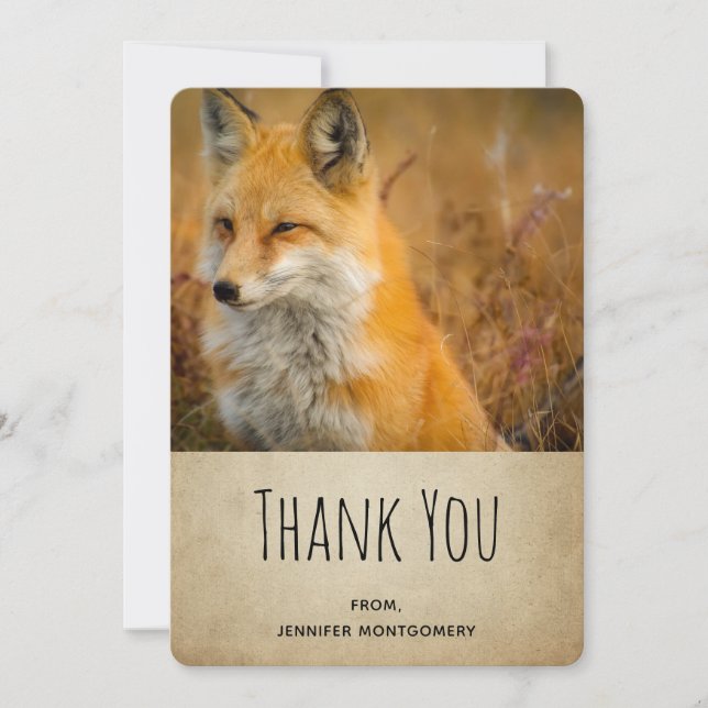 Cute Red Fox Wilderness Nature Photo Thank You (Front)