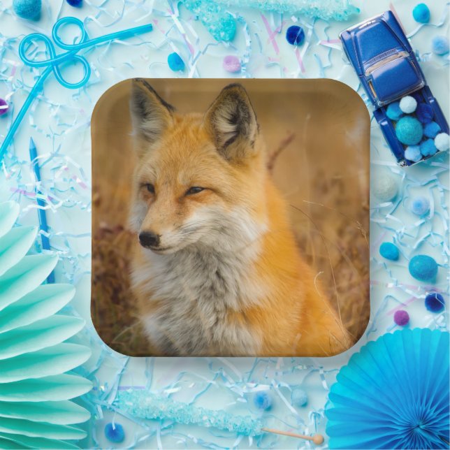 Cute Red Fox Wilderness Nature Photography Paper Plate (Party)