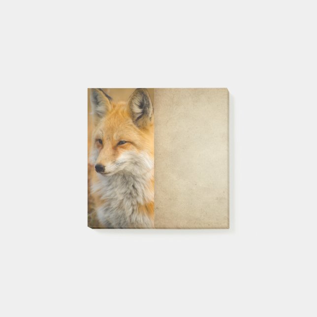 Cute Red Fox Wilderness Nature Photography Post-it Notes (Front)