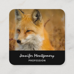 Cute Red Fox Wilderness Nature Photography Square  Square Business Card