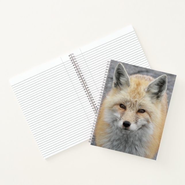 Cute Red Fox Wildlife Photo Notebook (Inside)