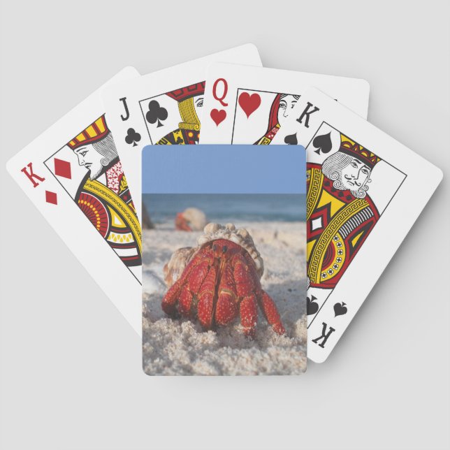 Cute Red Hermit Crab on White Sandy Beach Playing Cards (Back)