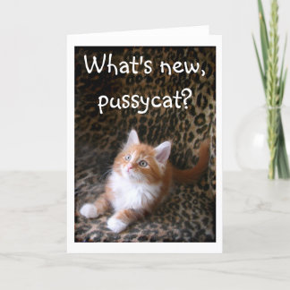 Cute red kitten on leopard print greeting card