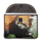 Cute Red Panda Bear 13" MacBook Sleeve