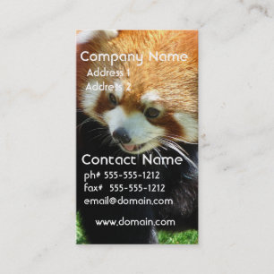 Cute Red Panda Bear Business Card