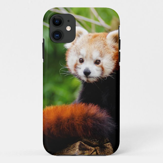 Cute Red Panda Bear Case-Mate iPhone Case (Back)