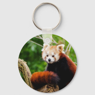 Cute Red Panda Bear Key Ring