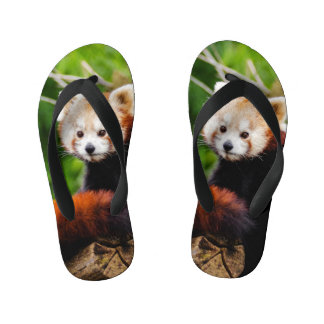 Cute Red Panda Bear Kid's Thongs