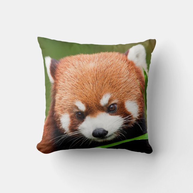 Cute Red Panda Cushion (Front)