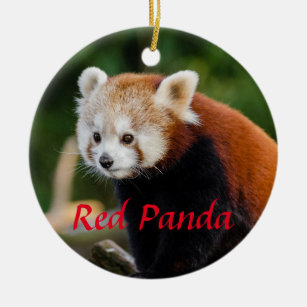 Cute Red Panda Fire Fox Ceramic Ornament