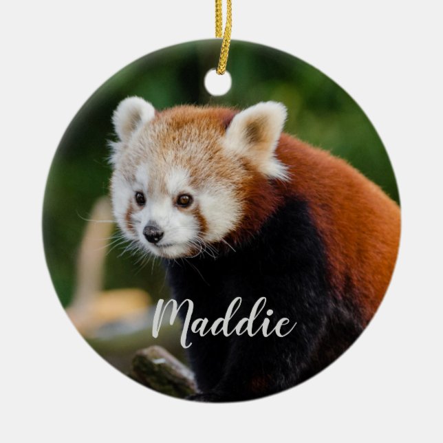 Cute Red Panda Fire Fox Personalised Ceramic Ornament (Front)