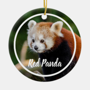 Cute Red Panda Frame Ceramic Ornament