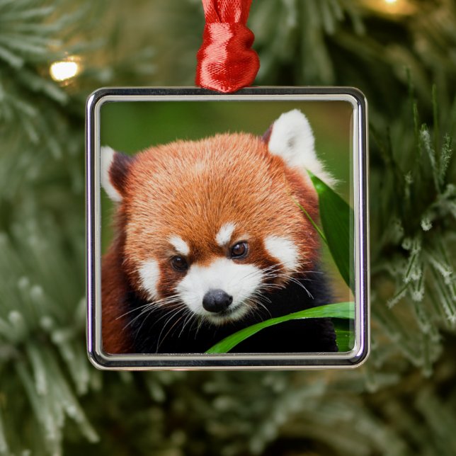 Cute Red Panda Metal Ornament (Tree)