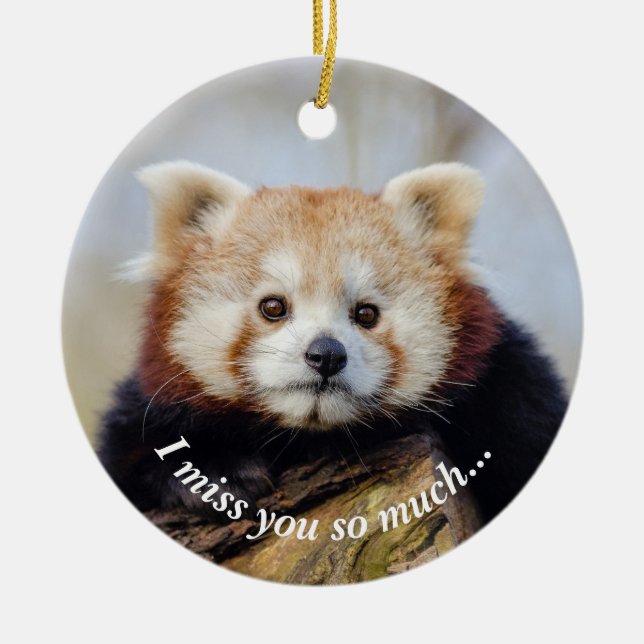 Cute Red Panda Miss You So Much  Ceramic Ornament (Front)
