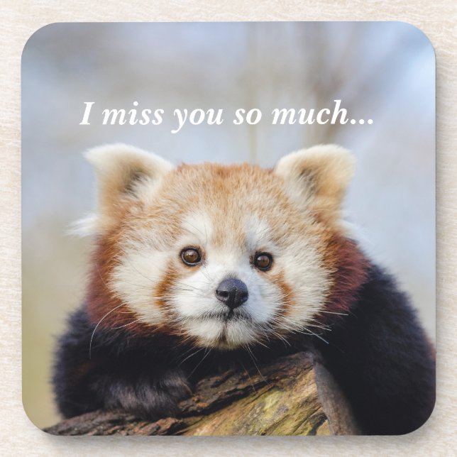 Cute Red Panda Miss You So Much  Coaster (Front)