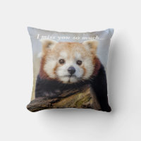 Cute Red Panda Miss You So Much 