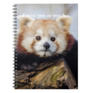 Cute Red Panda Miss You So Much Notebook