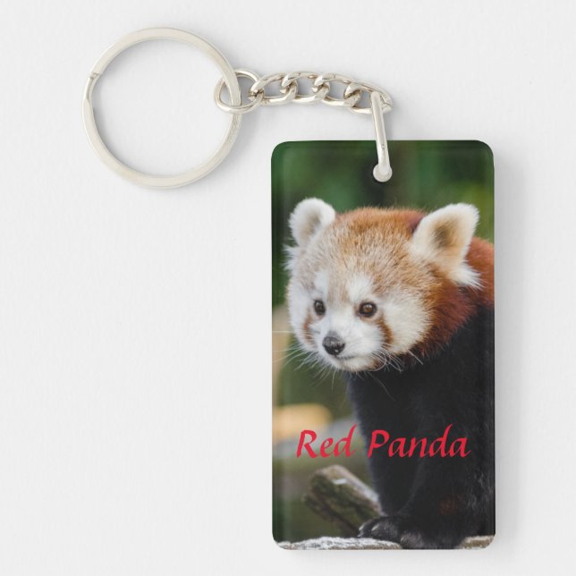 Cute Red Panda Photo Key Ring (Front)