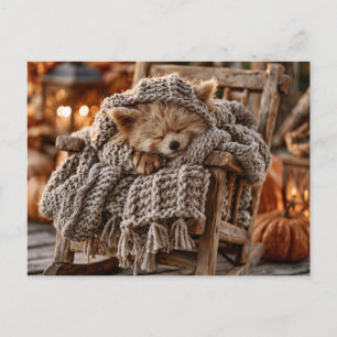 Cute Red Panda Sleeping in Miniature Rocking Chair Holiday Postcard