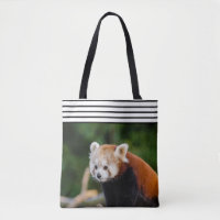 Cute Red Panda Striped