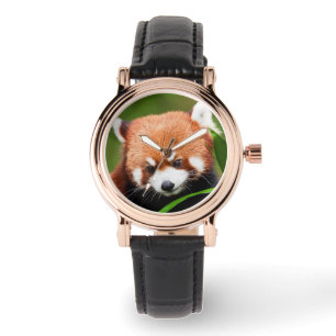 Cute Red Panda Watch
