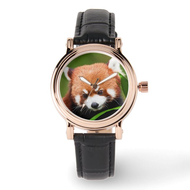 Cute Red Panda Watch (Front)