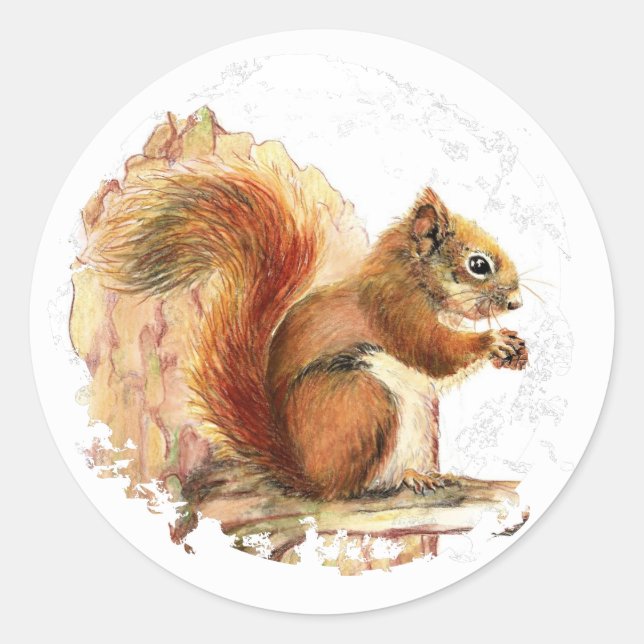 Cute Red Squirrel - Animal, Nature, Wildlife Classic Round Sticker (Front)