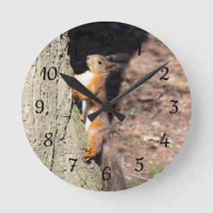 Cute red squirrel on a tree poster throw pillow round clock
