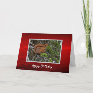 Cute Red Squirrel Pine Photo Birthday Card