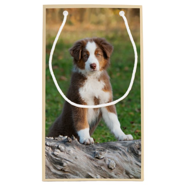 Cute Red Tri Australian Shepherd Dog Puppy Photo - Small Gift Bag (Back)