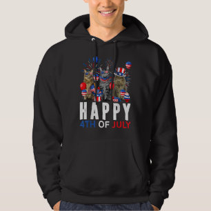 Cute Red White Blue Maine Coon Patriotic Happy 4th Hoodie