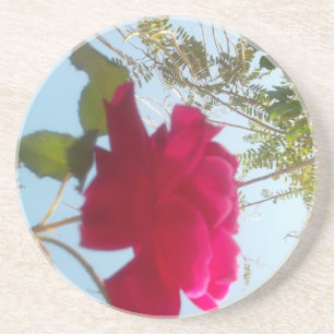 Cute Retro Hakuna Matata Gift Blue Red  Green SKY  Coaster