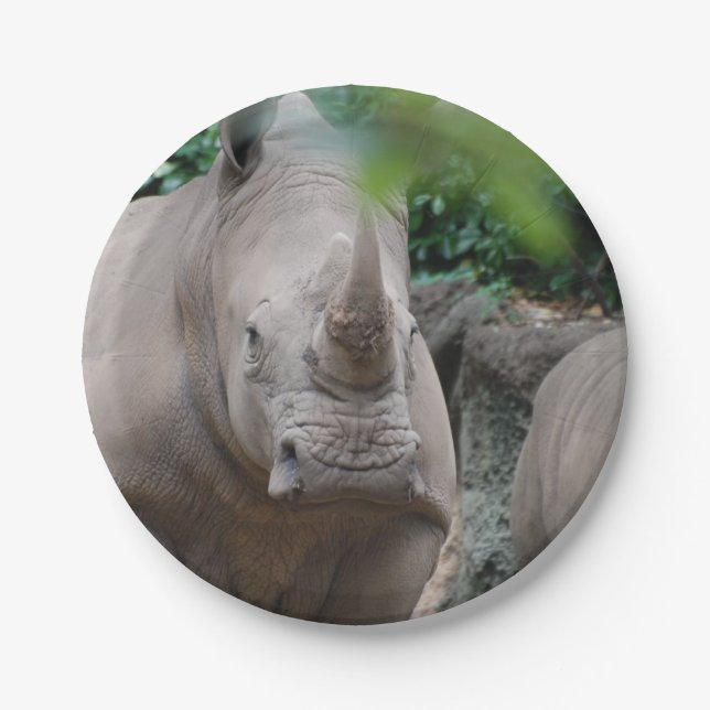 Cute Rhino Paper Plate (Front)