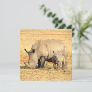 Cute rhinoceros in africa